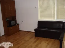 Miniaturka