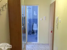 Miniaturka