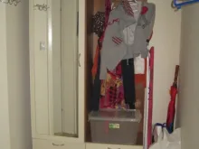 Miniaturka