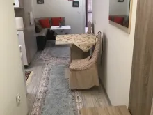Miniaturka