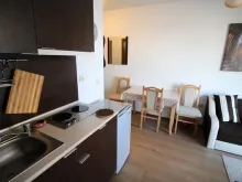 Miniaturka