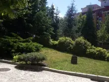 Miniaturka
