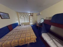 Miniaturka