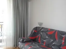 Miniaturka