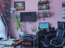 Miniaturka