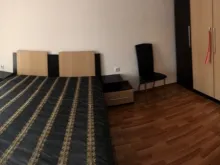 Miniaturka
