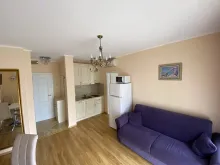 Miniaturka