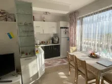 Miniaturka