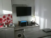 Miniaturka