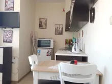 Miniaturka