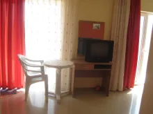 Miniaturka