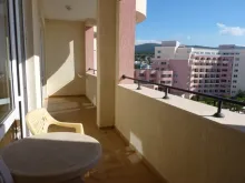 Miniaturka
