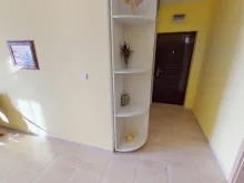 Miniaturka