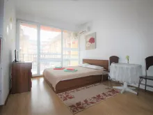 Miniaturka