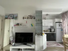 Miniaturka