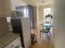 Miniaturka
