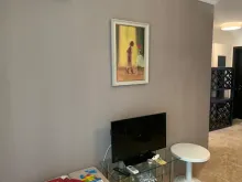 Miniaturka