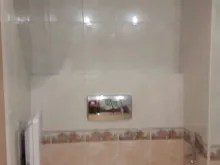 Miniaturka