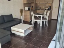 Miniaturka