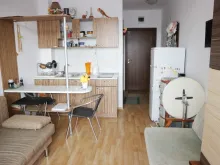 Miniaturka