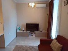 Miniaturka