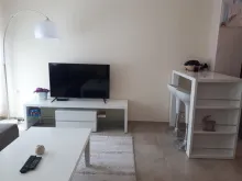 Miniaturka