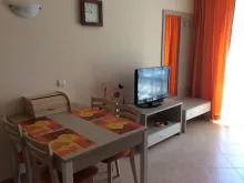 Miniaturka