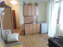 Miniaturka