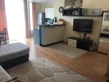 Miniaturka