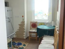 Miniaturka