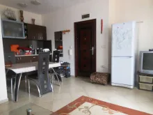 Miniaturka