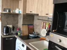 Miniaturka