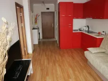 Miniaturka