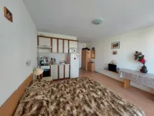 Miniaturka