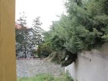 Miniaturka