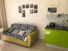 Miniaturka