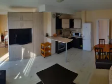 Miniaturka