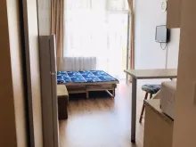 Miniaturka
