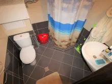 Miniaturka