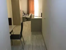 Miniaturka