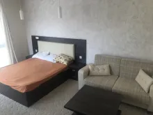 Miniaturka