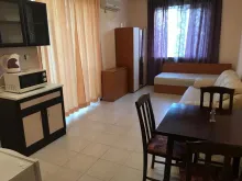 Miniaturka