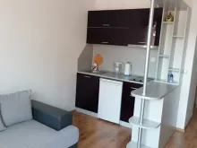 Miniaturka