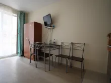 Miniaturka