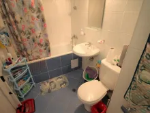 Miniaturka