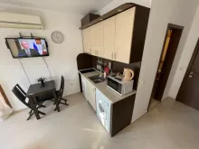 Miniaturka