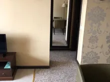 Miniaturka