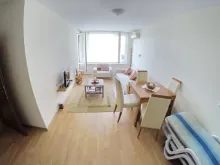 Miniaturka