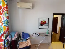 Miniaturka