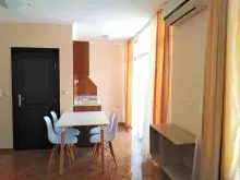 Miniaturka